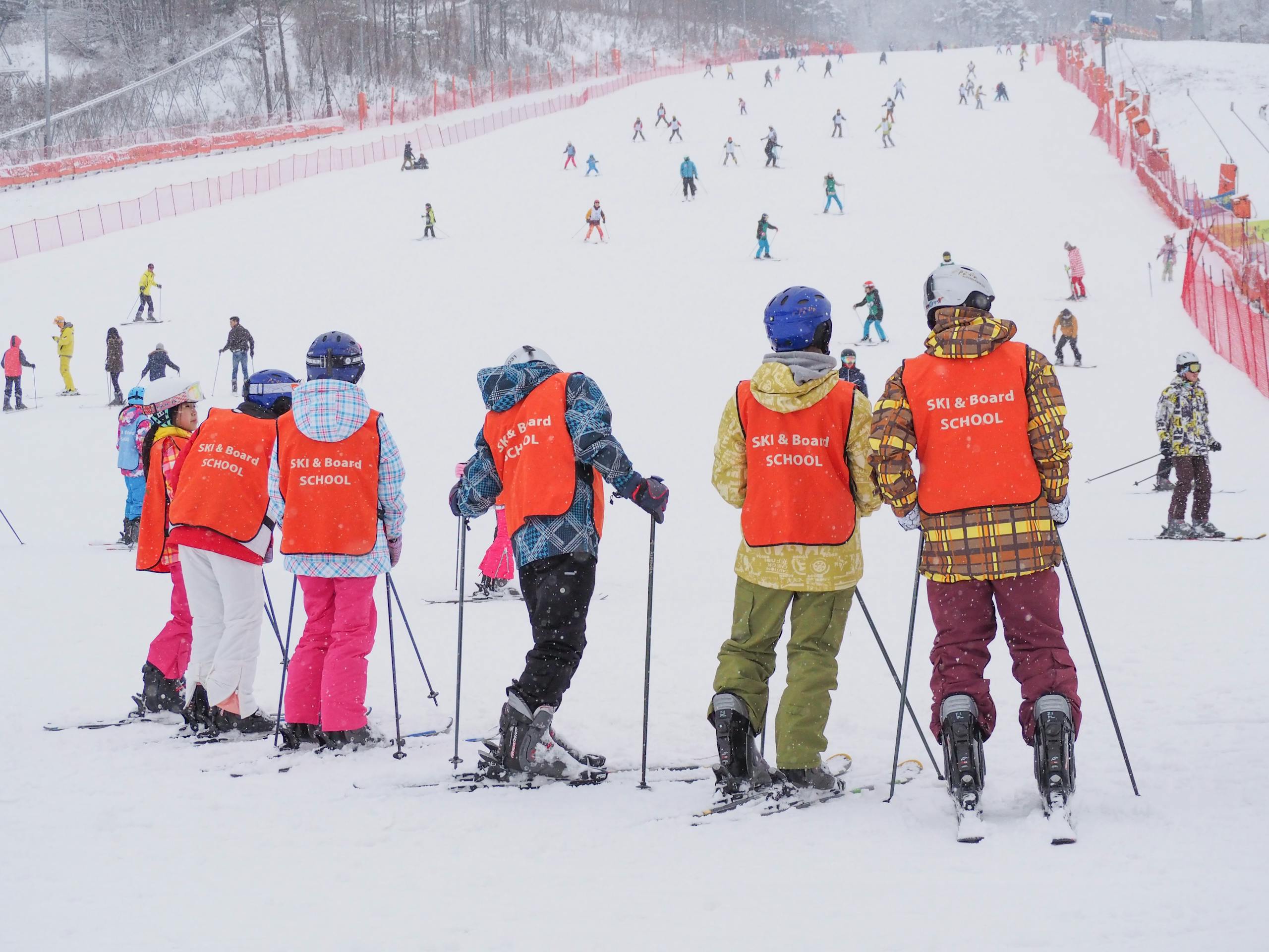 Skiers learn together at a snowy slope in Pyeongchang, South Korea.