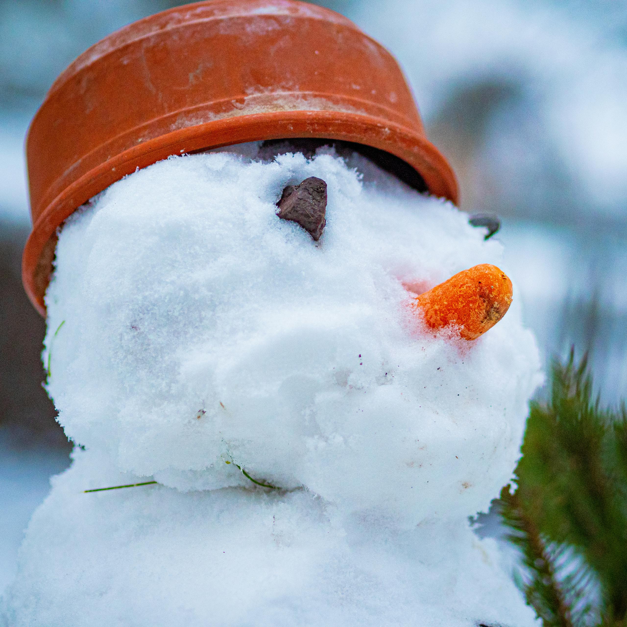 Close-up of a snowman with a carrot nose and pot hat, symbolizing winter joy.
