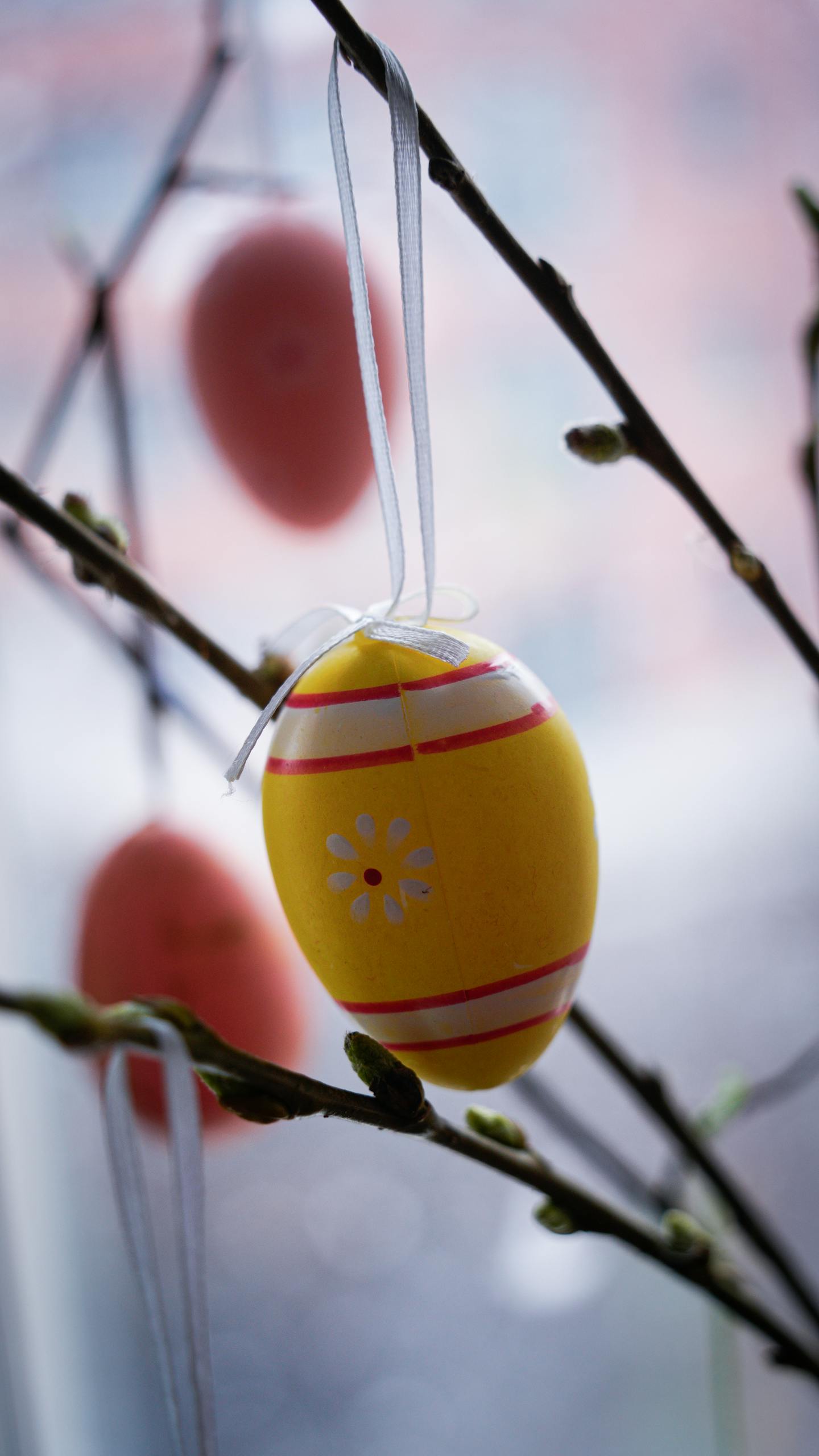 Close-up of colorful Easter eggs hanging on branches, symbolizing spring celebration.